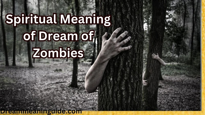 Spiritual Perspectives On Zombie Dreams