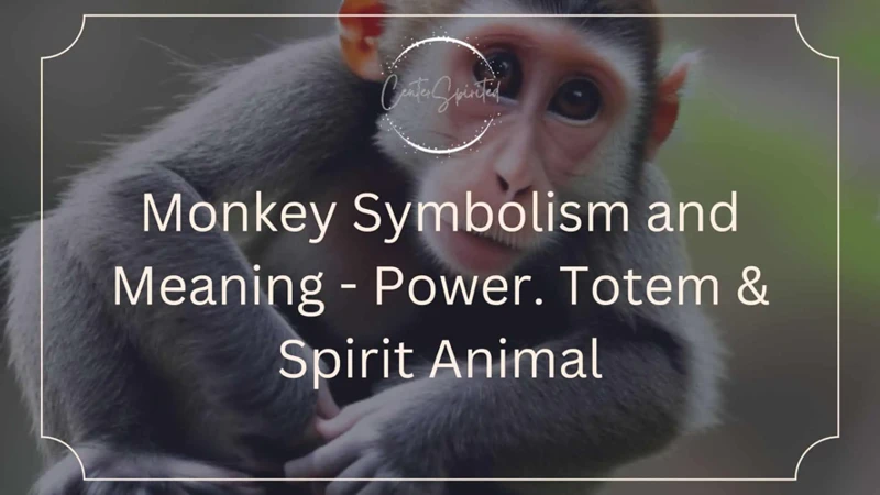 Spiritual Symbolism Of Monkeys