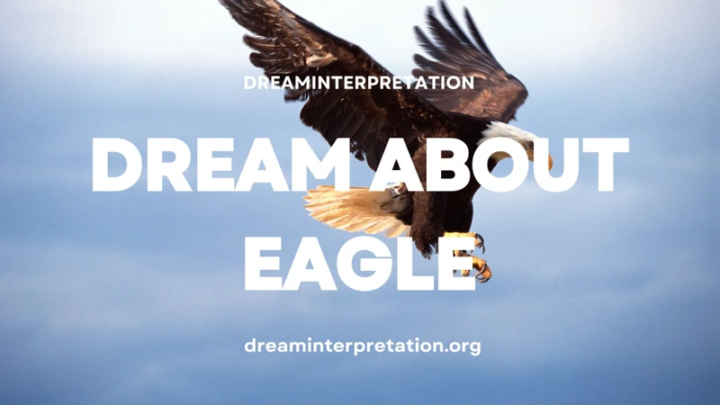 Steps To Interpret Your Eagle Dreams