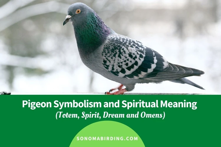 Symbolism Of Pigeons In Dreams