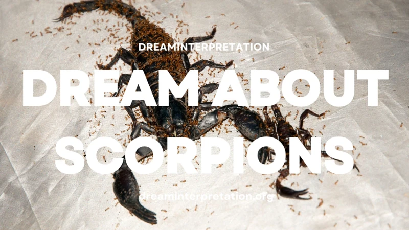 Techniques To Work With Scorpion Dreams