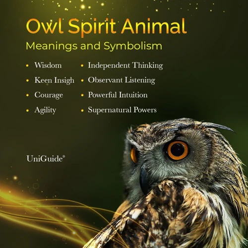 The Owl As A Symbol