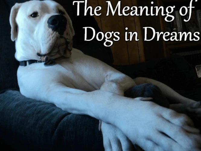 The Science Of Dog Dreams