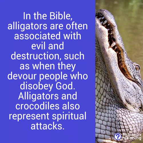 The Spiritual Meanings Of Alligator Dreams