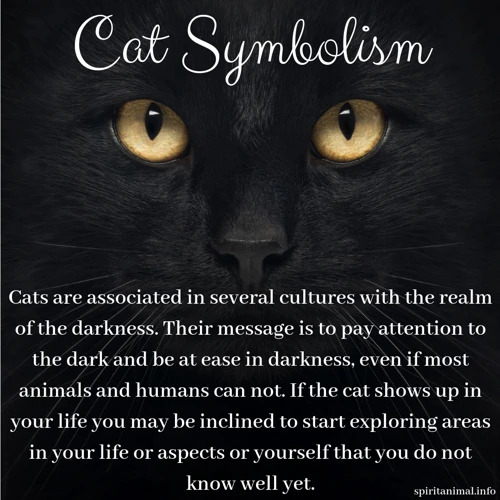 The Symbolism Of Cats
