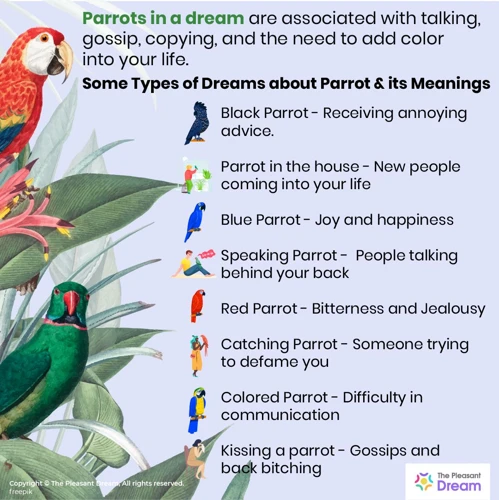 The Symbolism Of Different Types Of Birds