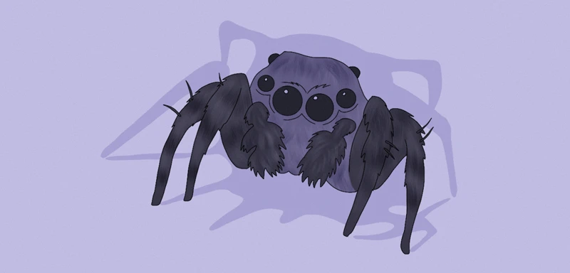 The Symbolism Of Spiders