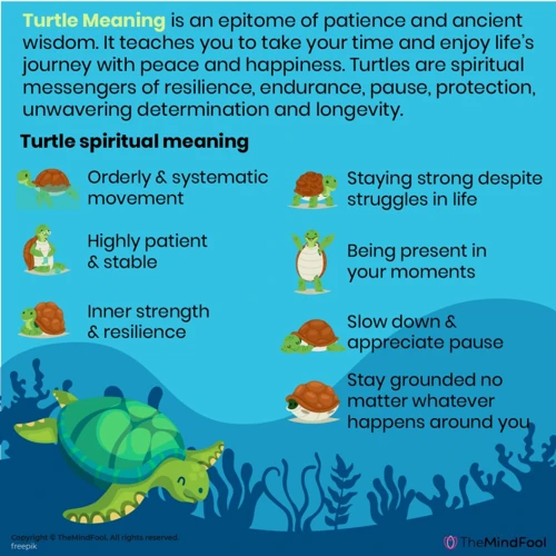 The Symbolism Of Turtles