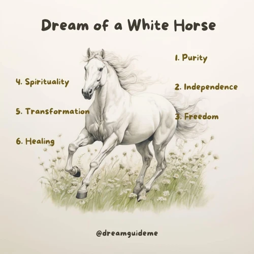 The Symbolism Of White Horses