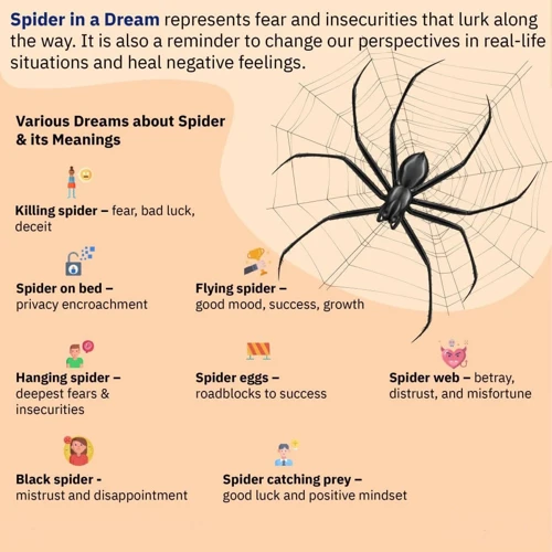 Tips For Understanding Spider Dreams