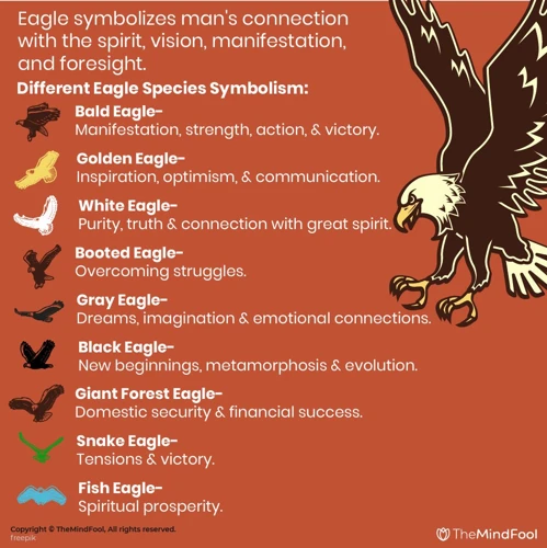 Types Of Eagle Dreams And Their Interpretations