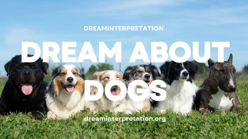 Understanding Emotional Dreams In Dogs