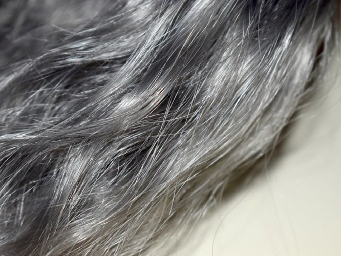 Understanding Gray Hair Symbolism