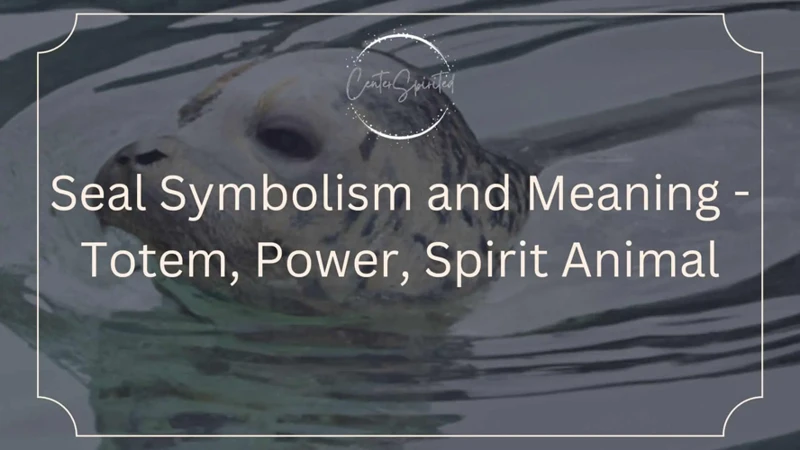 Understanding The Symbolism Of Seals