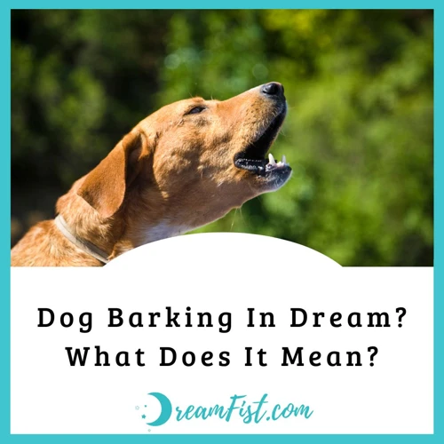 Why Do Dogs Bark In Their Dreams?